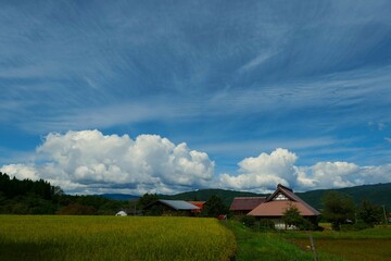 初秋の山里。遠野、岩手、日本。9月上旬。