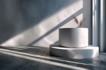 Minimalist Display with Light and Shadow: A serene, studio-style shot showcasing a simple cylindrical vase atop a round pedestal, the scene is bathed in the dynamic interplay of light and shadow.