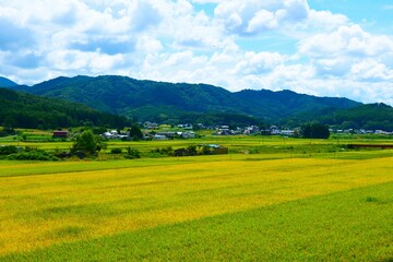 初秋の山里。遠野、岩手、日本。9月上旬。