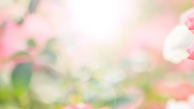 Flash 5 Styles Horizontal Transitions 1 MOGRT 395