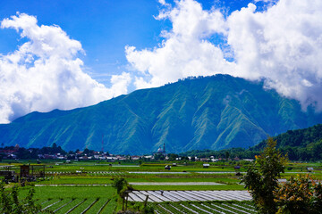 A view of the green landscape of the Rinjani volcano in summer. Farmland view from Selong Hill, Sembalun, Lombok, West Nusa Tenggara, Indonesia.