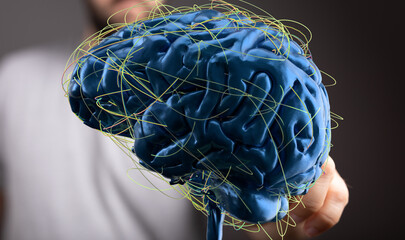 3D rendering of human brain with complex neural network connections.  Ideal for medical, science,...