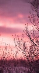 Obraz premium Silhouetted branches against a vibrant pink sunset