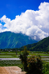 A view of the green landscape of the Rinjani volcano in summer. Farmland view from Selong Hill, Sembalun, Lombok, West Nusa Tenggara, Indonesia.