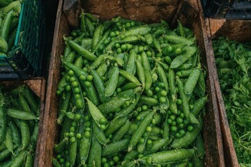 Freshly harvested green peas displayed in wooden crates at a local market during early morning hours