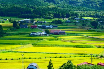 初秋の山里。遠野、岩手、日本。9月上旬。
