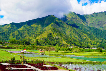 A view of the green landscape of the Rinjani volcano in summer. Farmland view from Selong Hill, Sembalun, Lombok, West Nusa Tenggara, Indonesia.