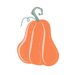 Hand drawn autumn pumpkin symbol. Autumn Vegetable harvest. Element for Halloween or Thanksgiving decorative design. Vector illustration.