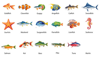 Colorful Fish and Sea Animal Vector Set – Educational Chart with Names
