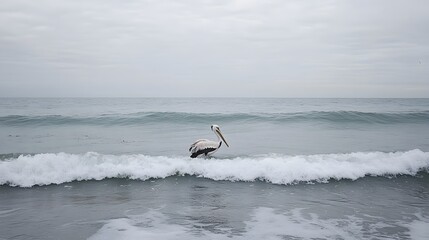 Solitary Pelican in Ocean Waves Minimalist Seascape
