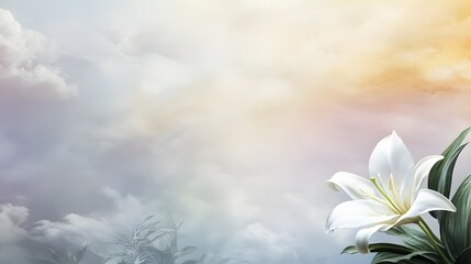 Serene White Lily Flower Against Cloudy Sky Background