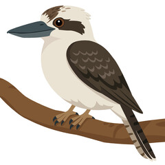 Laughing Kookaburra (Dacelo novaeguineae) - Original Clean-Line Clipart with Transparent Background
