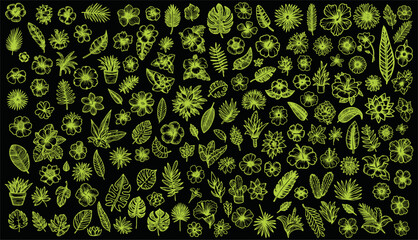 Tropical Leaves in doodle style. Vector hand drawn black line design elements. Exotic summer botanical illustrations. Monstera leaves, palm, banana leaf,flower.