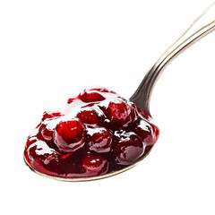 Spoonful of Cranberry Sauce Delicious Thanksgiving Treat