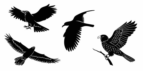 Obraz premium A collection of four black birds in flight and perched on a branch in silhouette style art vector design