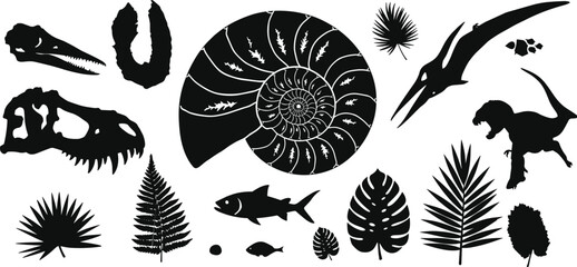 Prehistoric dinosaur fossils, ancient animal skulls, ammonite shell, tropical plants, and Jurassic era silhouettes for educational, science, and vector design © Legend Monir