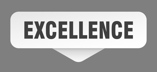 excellence sticker. excellence sign isolated on gray background