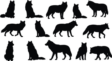 Set of black wolf silhouettes in various poses, wild animal vector clipart illustration isolated on white background for nature design
