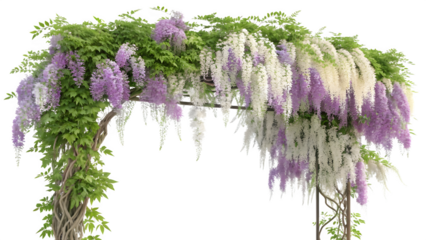 Cascading Wisteria Arch with Lavender and White-Lilac Blooms