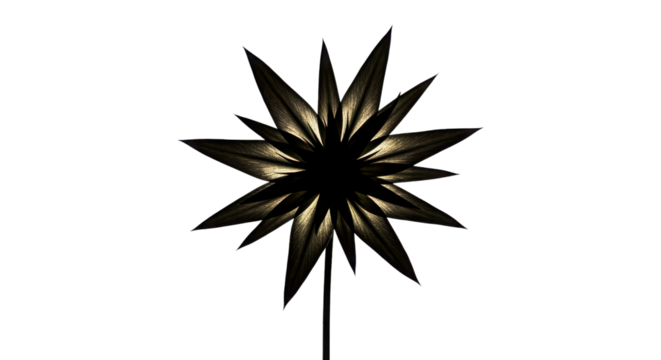 Illuminated moravian star decoration isolated PNG with Transparent Background