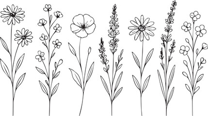 Botanical Line Art Collection Elegant Floral Outlines for Creative Design Projects and Decor