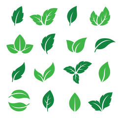 Branches leaves design eco elements set icons