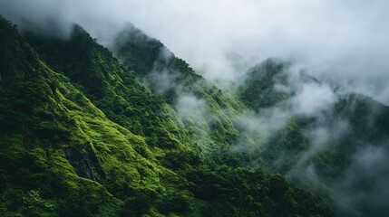 Mist envelops lush green forested mountains, creating a mysterious and serene atmosphere in this natural landscape.