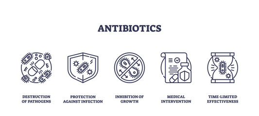 Antibiotics are depicted with icons showing bacteria destruction, infection protection, and medical intervention, transparent background. Outline icons set
