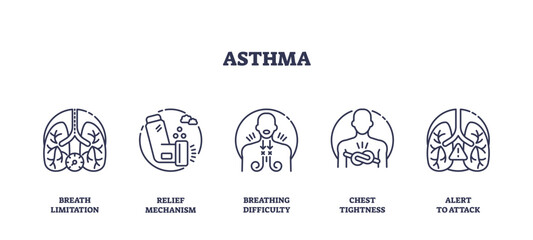 Asthma is illustrated through outline icons showing lungs, inhaler, and chest tightness, conveying symptoms and management, transparent background. Outline icons set