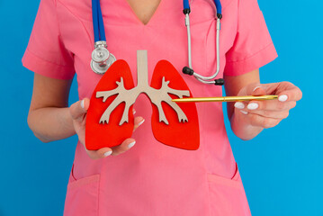 doctor showing pen on a anatomical model of human lung