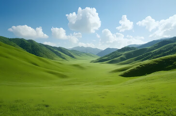 Fototapeta premium Vast Green Valley Under a Clear Sky