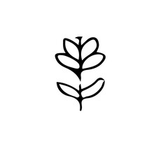 Obraz premium A simple black and white drawing of a plant with leaves arranged symmetrically on a central stem design