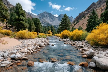 Autumn colors reflect in clear mountain stream with rocky banks and vibrant foliage in sunny afternoon light