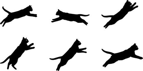 Cat Jumping High in the Sky, Capturing a Moment of Playful Agility and Grace, Set Against a Clear Blue Backdrop
