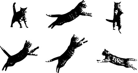 Cat Jumping High in the Sky, Capturing a Moment of Playful Agility and Grace, Set Against a Clear Blue Backdrop
