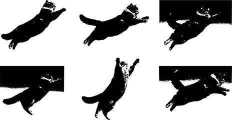 Cat Jumping High in the Sky, Capturing a Moment of Playful Agility and Grace, Set Against a Clear Blue Backdrop
