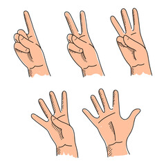 Counting with fingers from one to five vector isolated. Set of hand-drawn images of hands. Two, three, four. Learn counting and mathematics. Hand gestures.