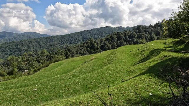 Serene Meadows and Rolling Hills of Mukteshwar, Nainital, Uttarakhand 