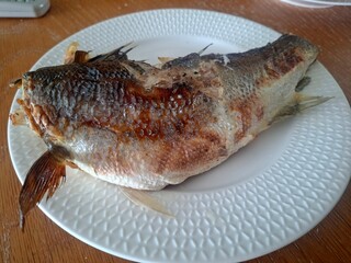 close up photo of fish on a plate