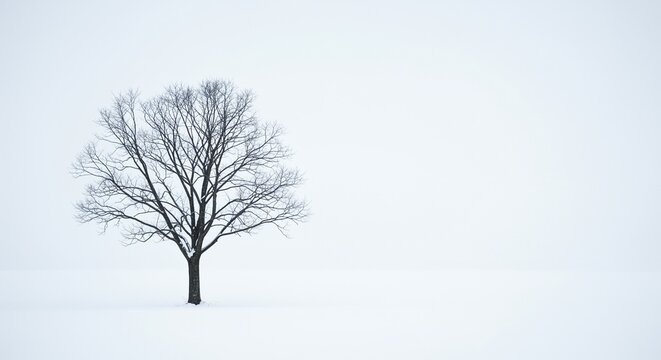Bare tree in snowy winter landscape