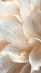 Delicate Texture of Light Beige Floral Petals