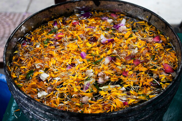 Thai people travelers join traditional local celebration merit rite pouring and ritual sprinkle...