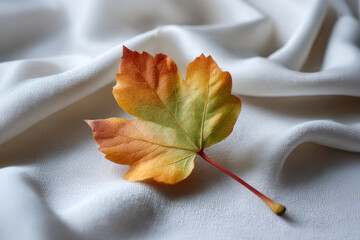 Vibrant maple leaf showcasing autumn colors on elegant white silk, evoking a serene fall mood