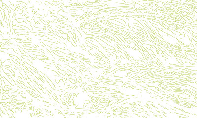 Line art pattern texture vector illustration green lines, grass lines