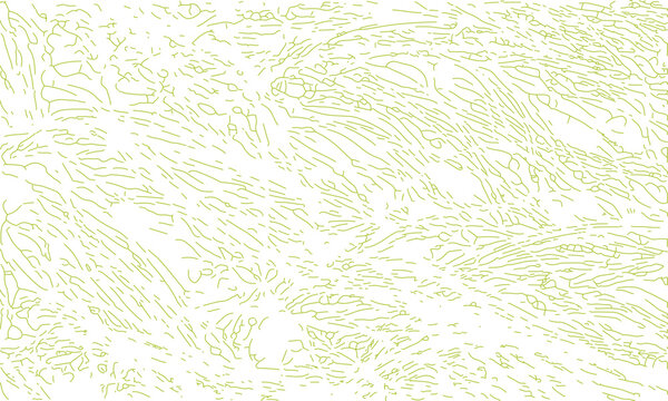 Line art pattern texture vector illustration green lines, grass lines