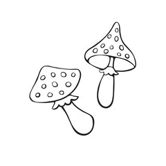 Fly agarics icons. Autumn seasonal outline mushrooms, elements isolated on white background in doodle style. Children illustration