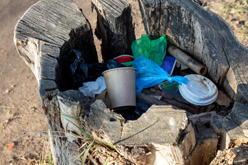 Trash discarded inside a tree stump on a city park or street. A striking contrast between urban...