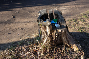 Trash discarded inside a tree stump on a city park or street. A striking contrast between urban...