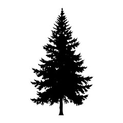 Evergreen Tree Silhouette | Pine Tree Black Outline Vector | Fir Tree Forest Icon | Nature Woodland Graphic | Winter Conifer Symbol | Christmas Tree Shape Illustration