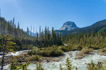 Glacier-fed waters from Takakkaw Falls flow into Yoho River with Wapta Mountain in the background in a sunny summer day. Yoho National Park, Canadian Rockies, British Columbia, Canada.